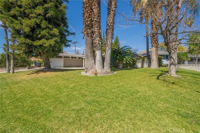 3540 Watkins Dr, Riverside, CA 92507 - view of yard
