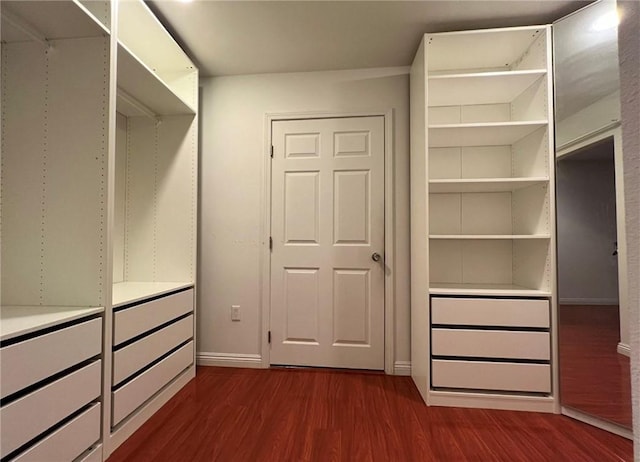 spacious closet with dark wood-style floors