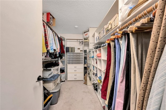 spacious closet featuring carpet flooring