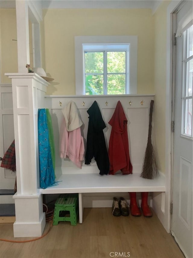 mudroom with a wainscoted wall, a wealth of natural light, and wood finished floors