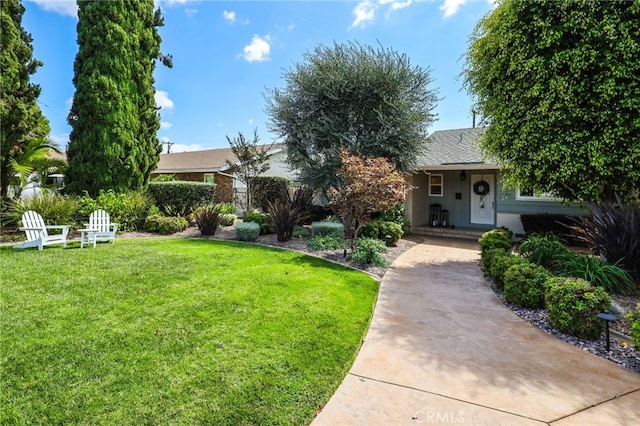 obstructed view of property with a front yard