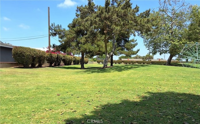 6151 Tyndall Dr, Huntington Beach, CA 92647 - view of green lawn