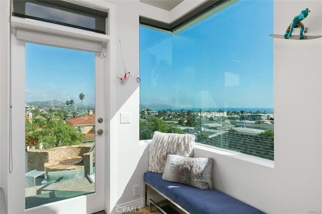 33961 Granada Dr, Dana Point, CA 92629 - photo 18