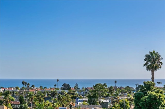 33961 Granada Dr, Dana Point, CA 92629 - photo 26