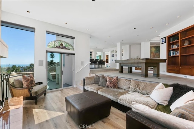 33961 Granada Dr, Dana Point, CA 92629 - living room with light wood-style floors and healthy amount of natural light