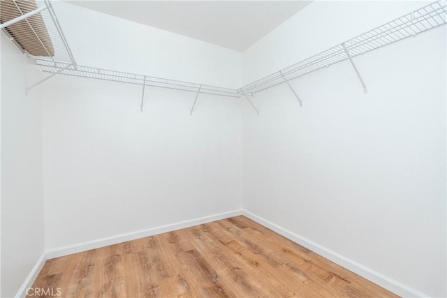 13625 Brynwood St, Victorville, CA 92392 - walk in closet with light wood-style floors