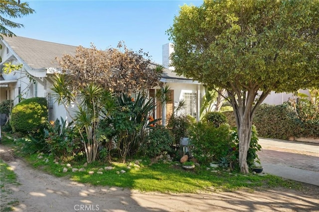 obstructed view of property featuring a chimney and stucco siding
