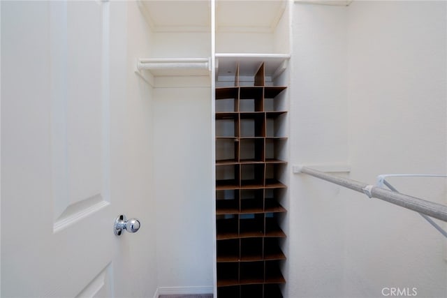 12241 Amaryllis, Yucaipa, CA 92399 - view of walk in closet
