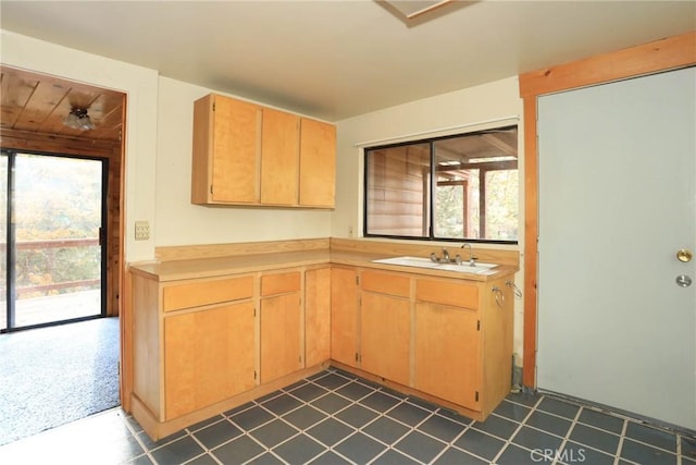 kitchen with light countertops and a sink