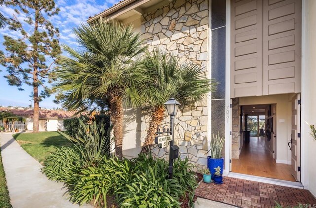 7031 Estrella De Mar Rd, Carlsbad, CA 92009 - photo 29