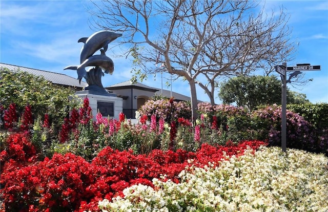 33571 Binnacle Dr, Dana Point, CA 92629 - view of yard
