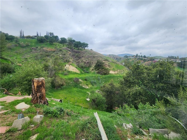 mountain view