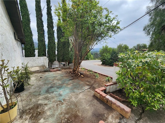 view of yard with a patio