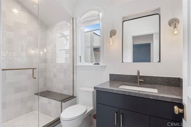 full bath featuring vanity, a shower stall, and toilet