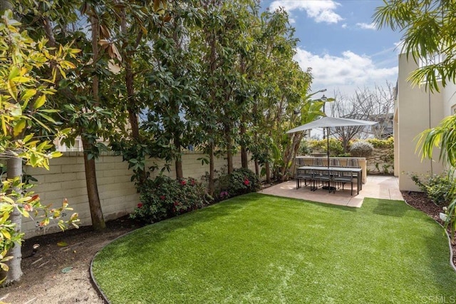 view of yard with a patio and a fenced backyard