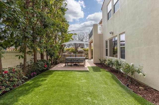 view of yard featuring a patio and a fenced backyard