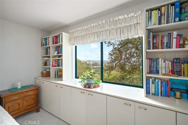 2344 Snowberry Ct, Avila Beach, CA 93424 - interior space