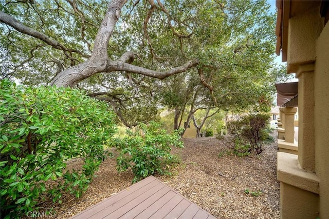 2344 Snowberry Ct, Avila Beach, CA 93424 - view of yard