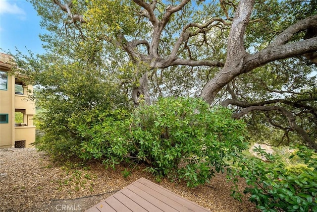 2344 Snowberry Ct, Avila Beach, CA 93424 - exterior space