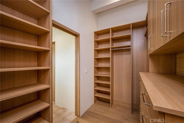 walk in closet featuring light wood-type flooring