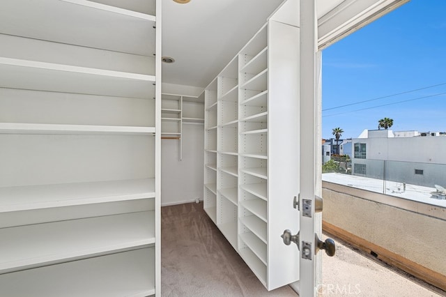 6 Voyage St Unit 204, Marina Del Rey, CA 90292 - spacious closet with carpet
