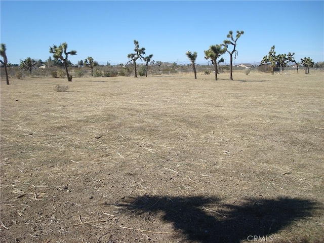 view of yard with a rural view