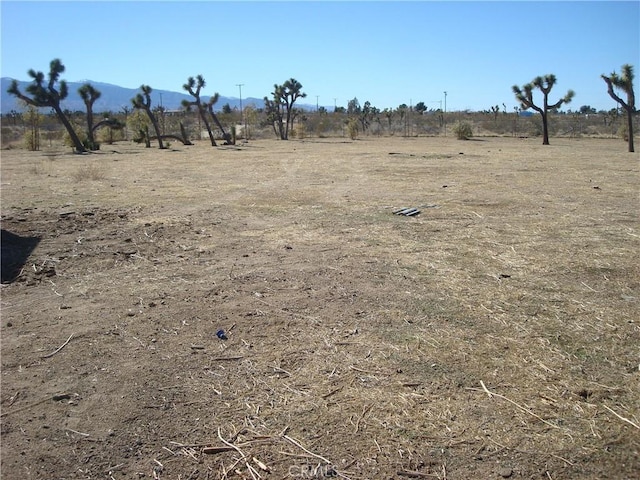 view of local wilderness with a rural view