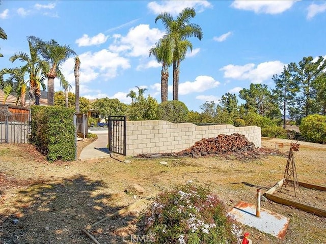 2565 Cliff Rd, Upland, CA 91784 - view of yard