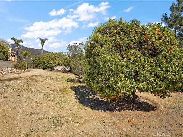 2565 Cliff Rd, Upland, CA 91784 - view of yard with a mountain view and fence