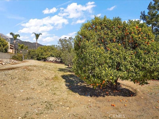 2565 Cliff Rd, Upland, CA 91784 - view of yard with a mountain view