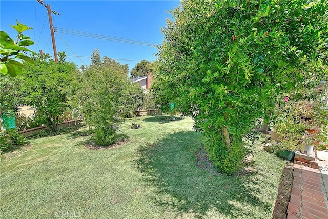 view of yard