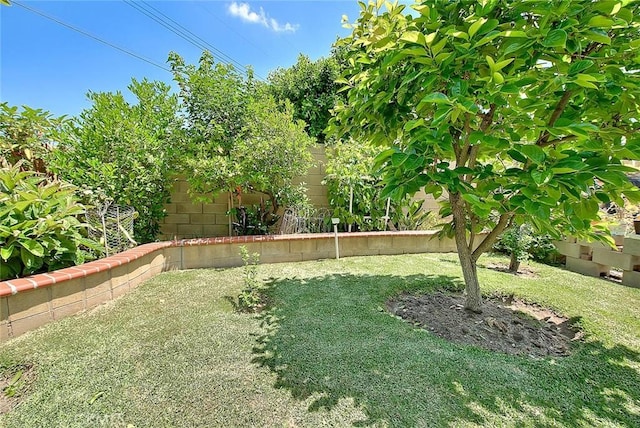 view of yard