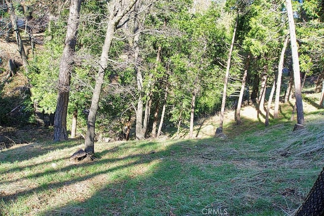 view of local wilderness featuring a wooded view