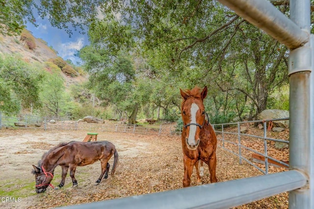 12617 Koenigstein Rd, Santa Paula, CA 93060 - exterior space with fence