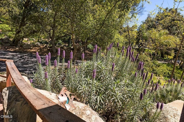 12617 Koenigstein Rd, Santa Paula, CA 93060 - view of nature