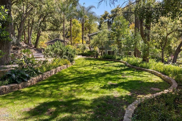 12617 Koenigstein Rd, Santa Paula, CA 93060 - view of yard