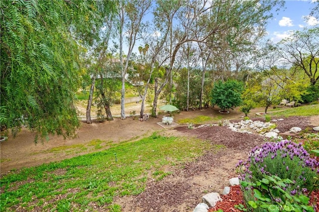 31065 Avenida Del Reposo, Temecula, CA 92591 - view of yard