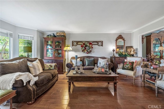 31065 Avenida Del Reposo, Temecula, CA 92591 - living area featuring wood-type flooring and ornamental molding