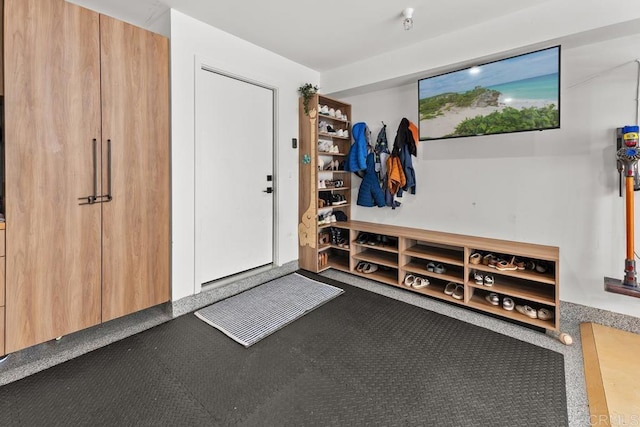 mudroom with carpet floors