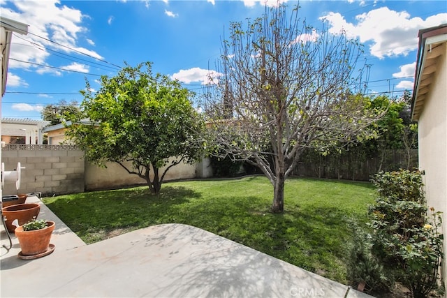 view of yard with a fenced backyard and a patio area