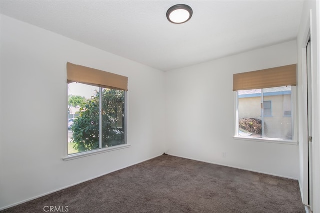 carpeted empty room with a wealth of natural light