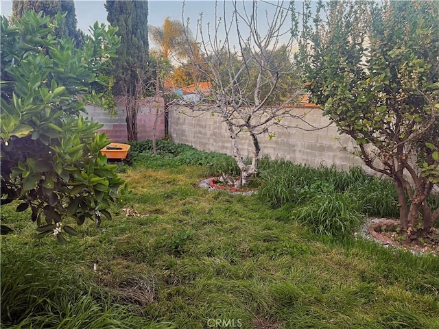 view of yard featuring fence