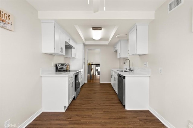 6279 Lincoln Ave, Buena Park, CA 90620 - kitchen with appliances with stainless steel finishes, under cabinet range hood, a raised ceiling, light countertops, and dark wood-type flooring