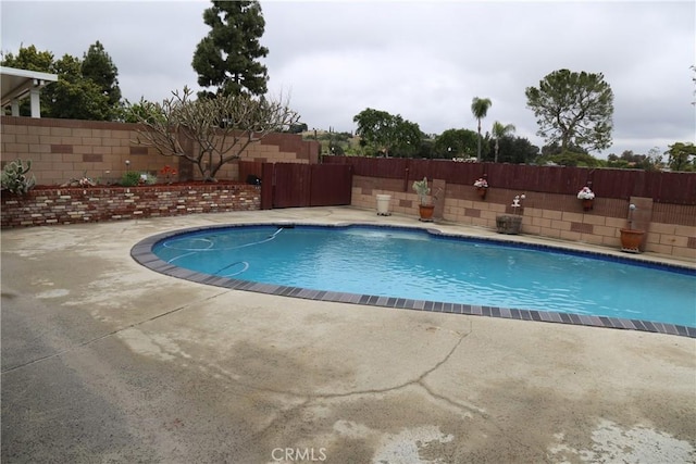 view of pool with a fenced in pool, a patio, and a fenced backyard