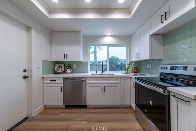 kitchen with a sink, light countertops, appliances with stainless steel finishes, and a raised ceiling