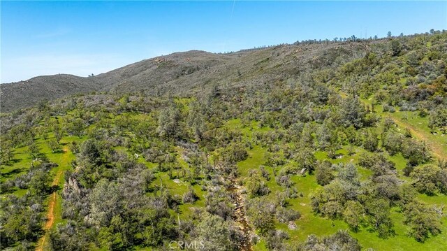 10777 Walker Trail Rd, Lost City, CA 95230