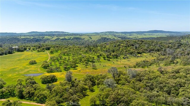 10777 Walker Trail Rd, Lost City, CA 95230