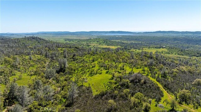 10777 Walker Trail Rd, Lost City, CA 95230