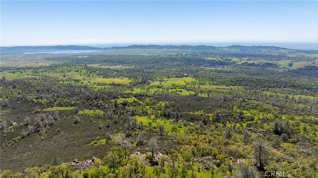 10777 Walker Trail Rd, Lost City, CA 95230