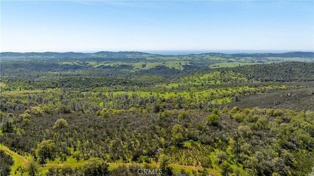 10777 Walker Trail Rd, Lost City, CA 95230